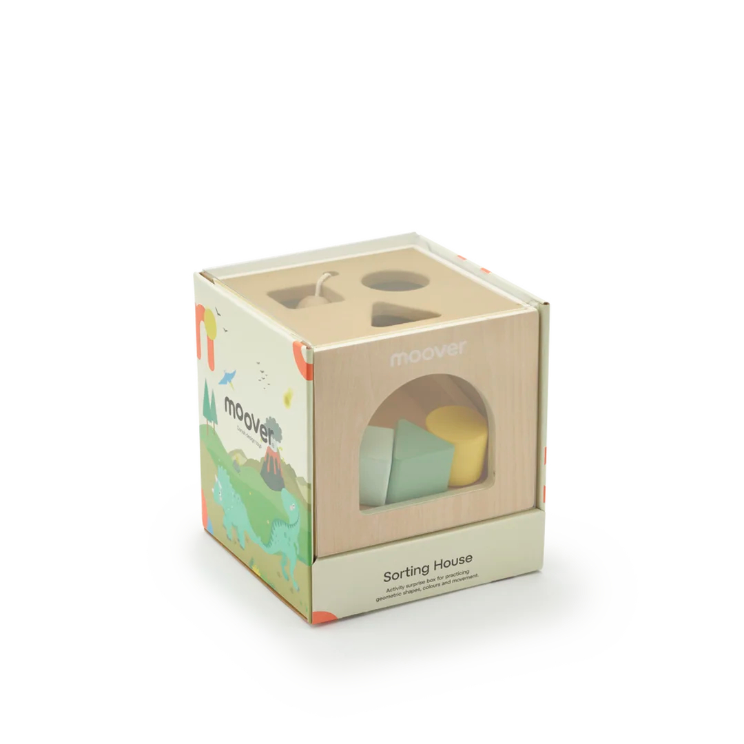 Sorting box dinosaur